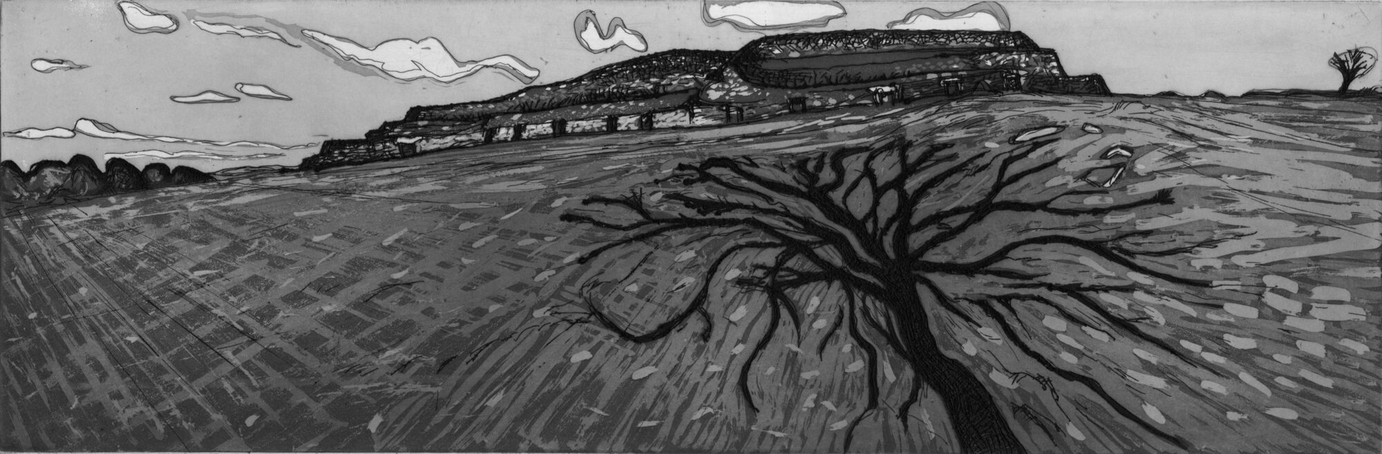 Barnenez planche 19, 2016, eau-forte, et pointe sèche, 20 X 60 cm