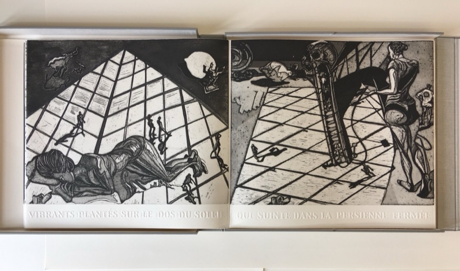 Album Sol y Sombra- Ouvert suite